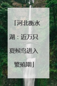 河北衡水湖：近万只夏候鸟进入繁殖期