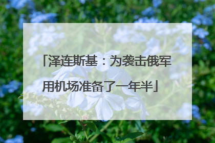 泽连斯基：为袭击俄军用机场准备了一年半