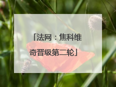 法网：焦科维奇晋级第二轮