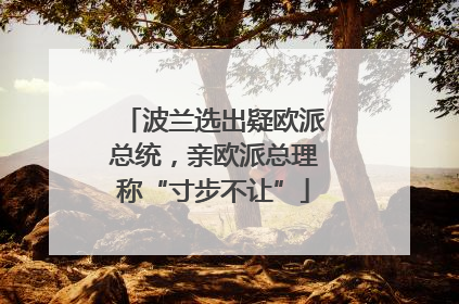 波兰选出疑欧派总统，亲欧派总理称“寸步不让”