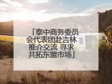 泰中商务委员会代表团赴吉林推介交流 寻求共拓东盟市场