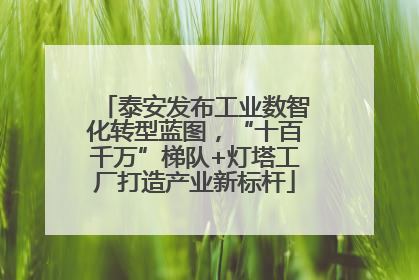 泰安发布工业数智化转型蓝图，“十百千万”梯队+灯塔工厂打造产业新标杆