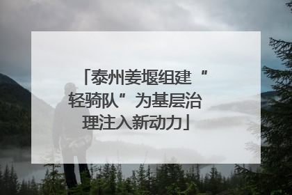 泰州姜堰组建“轻骑队”为基层治理注入新动力