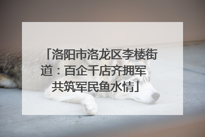洛阳市洛龙区李楼街道：百企千店齐拥军 共筑军民鱼水情