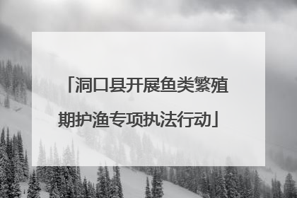 洞口县开展鱼类繁殖期护渔专项执法行动