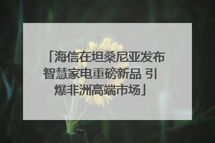 海信在坦桑尼亚发布智慧家电重磅新品 引爆非洲高端市场
