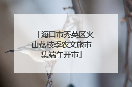 海口市秀英区火山荔枝季农文旅市集端午开市