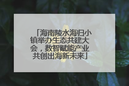 海南陵水海归小镇举办生态共建大会，数智赋能产业共创出海新未来