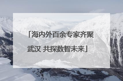 海内外百余专家齐聚武汉 共探数智未来