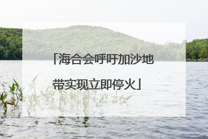 海合会呼吁加沙地带实现立即停火