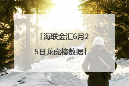 海联金汇6月25日龙虎榜数据