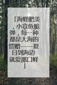海蛏肥美，小章鱼脆弹，每一种都是大海的馈赠——夏日到海边 就爱那口鲜