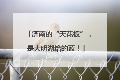 济南的“天花板”，是大明湖给的蓝！