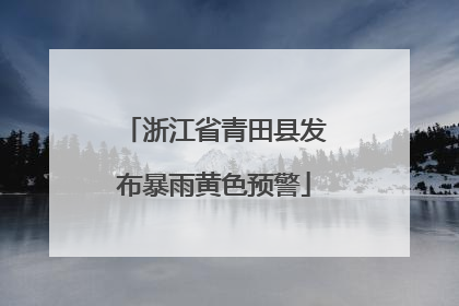 浙江省青田县发布暴雨黄色预警