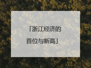 浙江经济的首位与新高