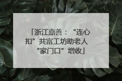 浙江嘉善：“连心扣”共富工坊助老人“家门口”增收