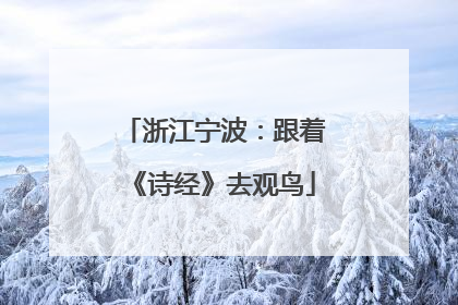 浙江宁波：跟着《诗经》去观鸟