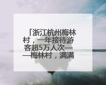 浙江杭州梅林村，一年接待游客超5万人次——梅林村，满满人气从何来（经济新方位·农村消费观察）