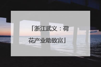 浙江武义：荷花产业助致富