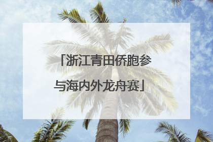 浙江青田侨胞参与海内外龙舟赛