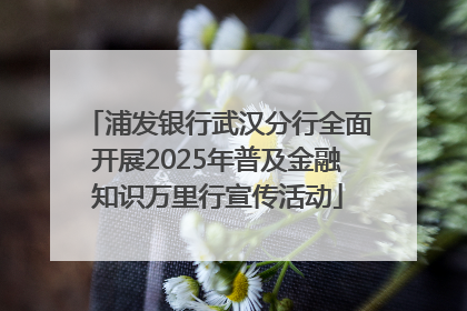 浦发银行武汉分行全面开展2025年普及金融知识万里行宣传活动