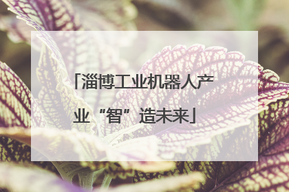 淄博工业机器人产业“智”造未来