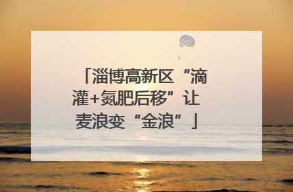 淄博高新区“滴灌+氮肥后移”让麦浪变“金浪”