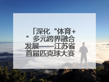 深化“体育+”多元跨界融合发展——江苏省首届匹克球大赛在无锡开赛