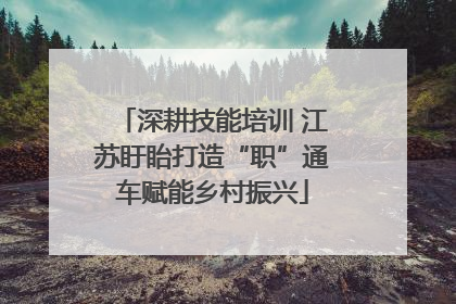 深耕技能培训 江苏盱眙打造“职”通车赋能乡村振兴