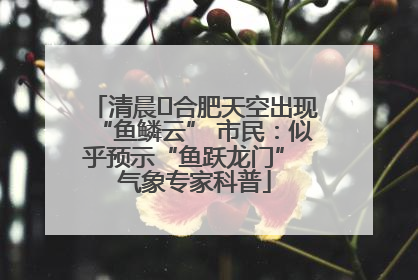 清晨﻿合肥天空出现“鱼鳞云” 市民：似乎预示“鱼跃龙门” 气象专家科普
