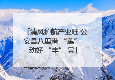 清风护航产业旺 公安县八里港 “莲” 动好 “丰” 景