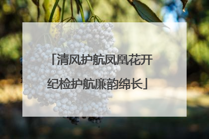 清风护航凤凰花开 纪检护航廉韵绵长