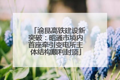 渝昆高铁建设新突破：昭通市境内首座牵引变电所主体结构顺利封顶