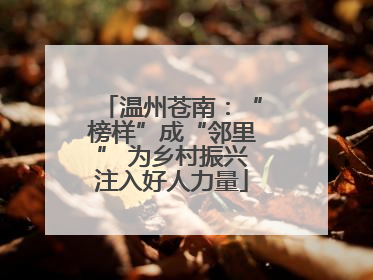温州苍南：“榜样”成“邻里” 为乡村振兴注入好人力量