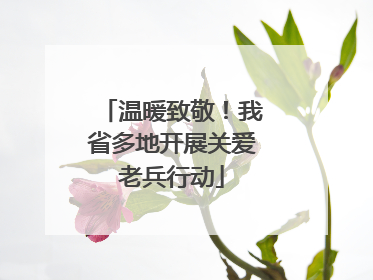 温暖致敬！我省多地开展关爱老兵行动