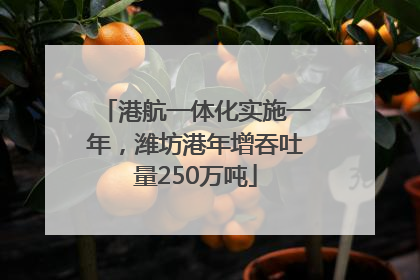 港航一体化实施一年，潍坊港年增吞吐量250万吨