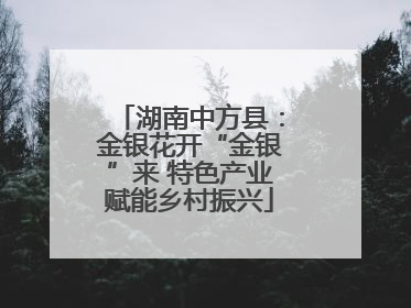 湖南中方县：金银花开“金银”来 特色产业赋能乡村振兴