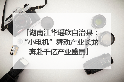 湖南江华瑶族自治县：“小电机”舞动产业长龙 奔赴千亿产业盛景