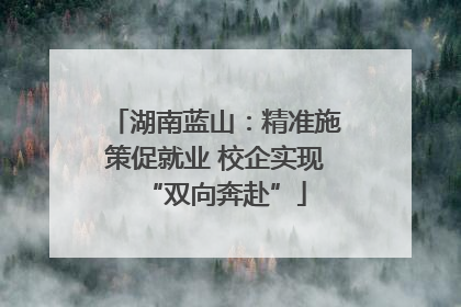 湖南蓝山：精准施策促就业 校企实现“双向奔赴”