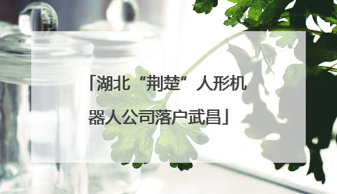 湖北“荆楚”人形机器人公司落户武昌
