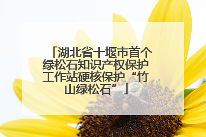 湖北省十堰市首个绿松石知识产权保护工作站硬核保护“竹山绿松石”