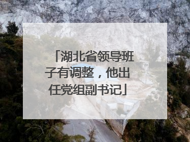湖北省领导班子有调整，他出任党组副书记