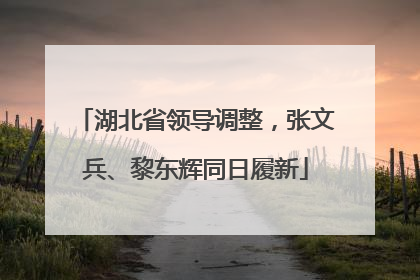 湖北省领导调整，张文兵、黎东辉同日履新