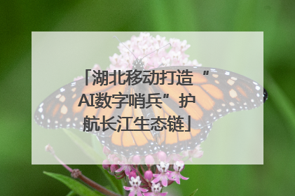 湖北移动打造“AI数字哨兵”护航长江生态链
