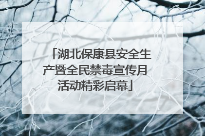 湖北保康县安全生产暨全民禁毒宣传月活动精彩启幕