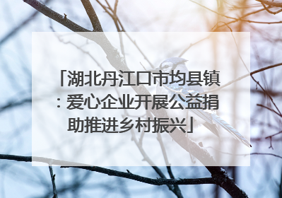 湖北丹江口市均县镇：爱心企业开展公益捐助推进乡村振兴