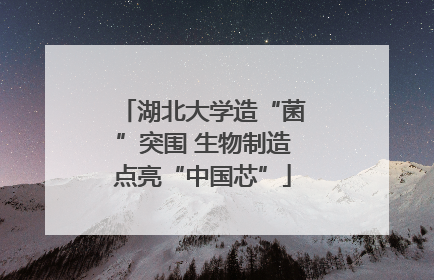 湖北大学造“菌”突围 生物制造点亮“中国芯”
