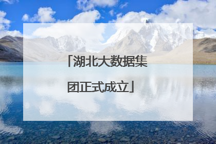 湖北大数据集团正式成立