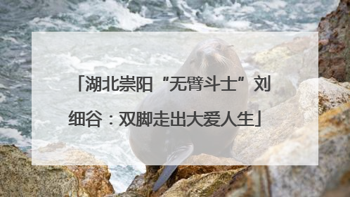 湖北崇阳“无臂斗士”刘细谷：双脚走出大爱人生