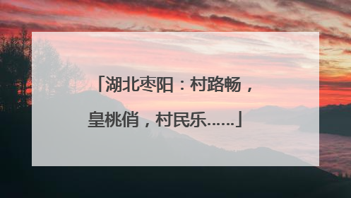 湖北枣阳：村路畅，皇桃俏，村民乐……